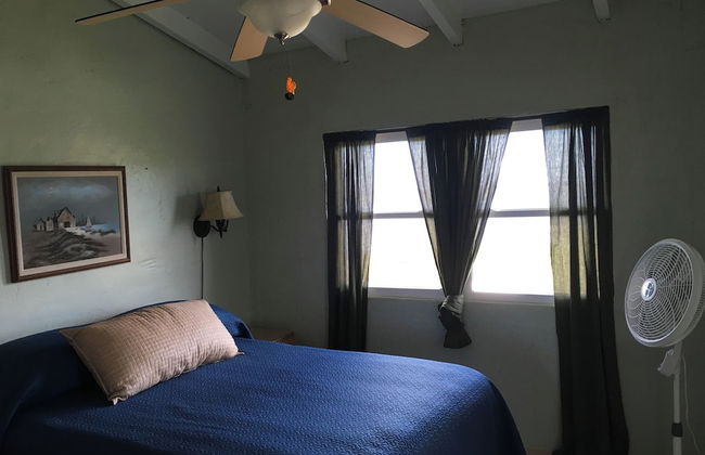 Bananaquit House - Photo 1