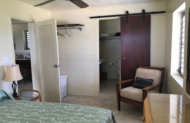 Bananaquit House - Photo 6