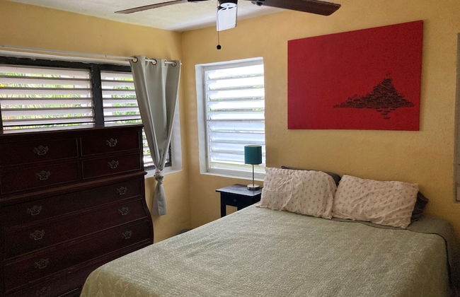 Bananaquit House - Photo 9