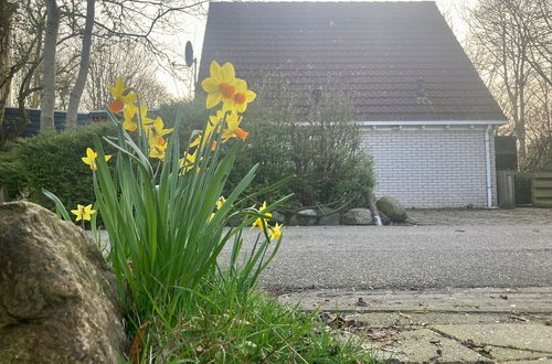 Photo 30 - Holiday Home - 8 Persons - With Sauna at the Lauwerslake Near Wadden Sea