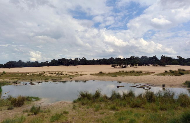 Chalet Near Loonse and Drunense Duinen - Foto 41