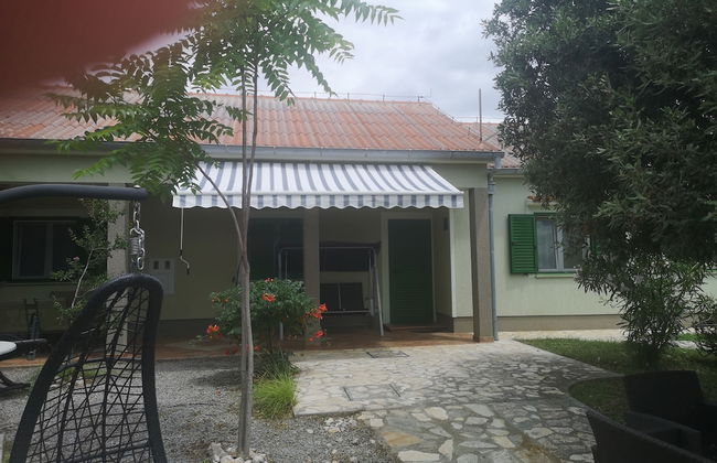 Moja Ane - Photo 33