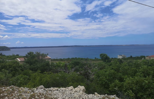 Moja Ane - Photo 43