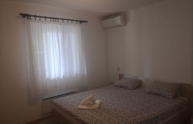 Moja Ane - Photo 8