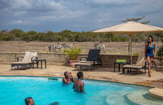 Photo 3 - Mount Kenya Wildlife Estate at Ol Pejeta