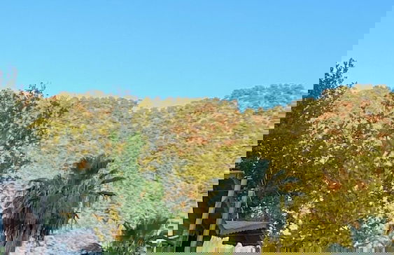 FNM LUXURY BUNGALOVS - Foto 30