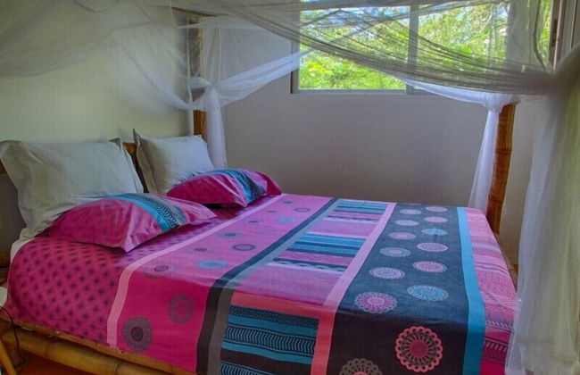 Le Parc aux Orchidées - Foto 7