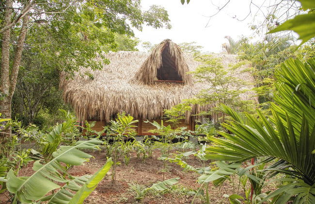 Hacienda Boutique - Foto 42