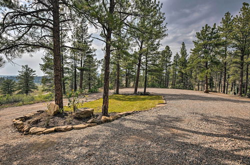 Photo 10 - 'cabin at the Little Ranch': Hiking On-site