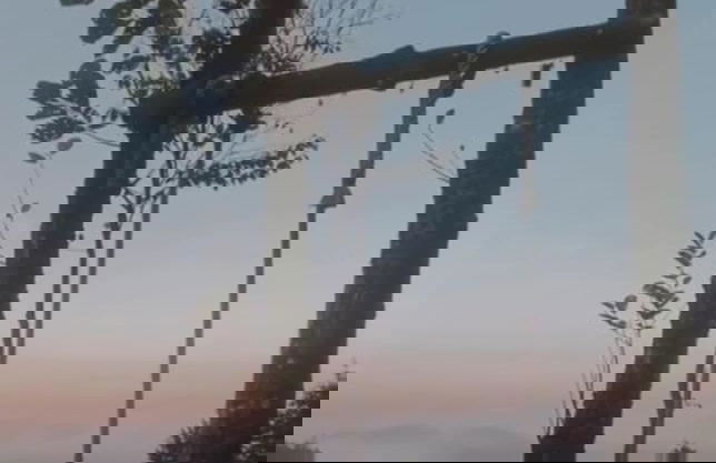 Geldun Mi Suit Bungalov - Photo 7