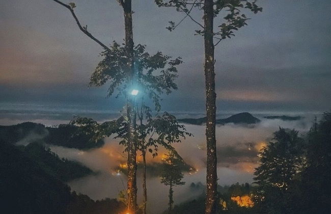 Geldun Mi Suit Bungalov - Photo 8