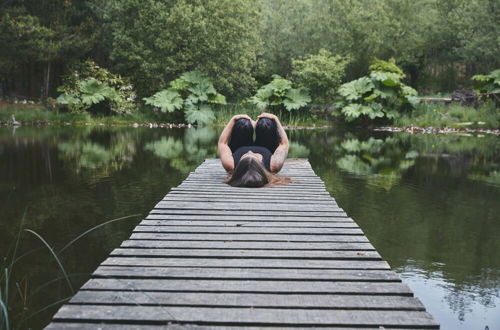 Photo 12 - Mushroom Yurt set in 4 Acres of Woodland and Lakes