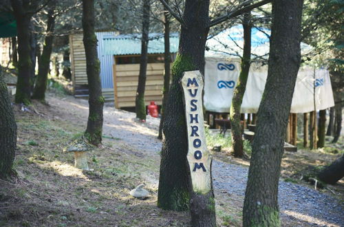 Foto 30 - Mushroom Yurt set in 4 Acres of Woodland and Lakes