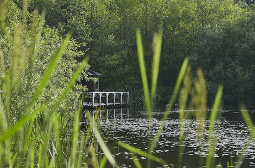 Photo 11 - Mushroom Yurt set in 4 Acres of Woodland and Lakes