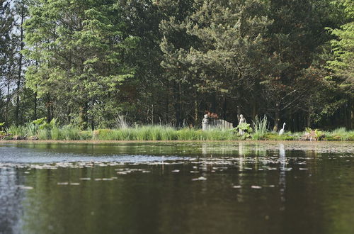 Photo 28 - Mushroom Yurt set in 4 Acres of Woodland and Lakes