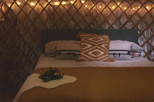 Photo 8 - Mushroom Yurt set in 4 Acres of Woodland and Lakes