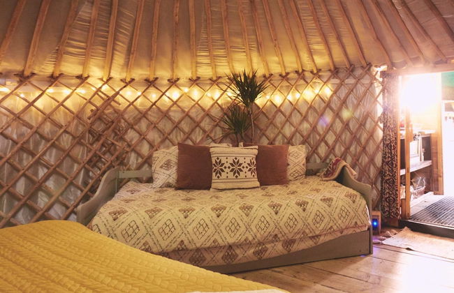 Mushroom Yurt set in 4 Acres of Woodland and Lakes - Foto 2