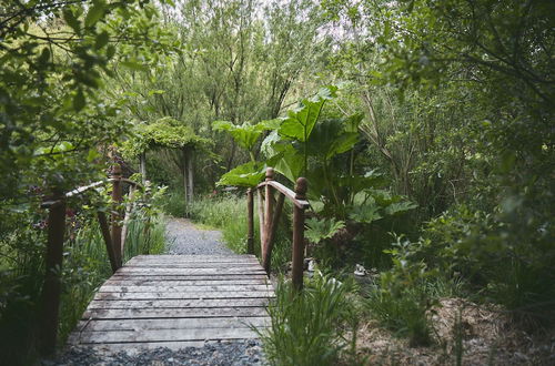 Photo 22 - Mushroom Yurt set in 4 Acres of Woodland and Lakes