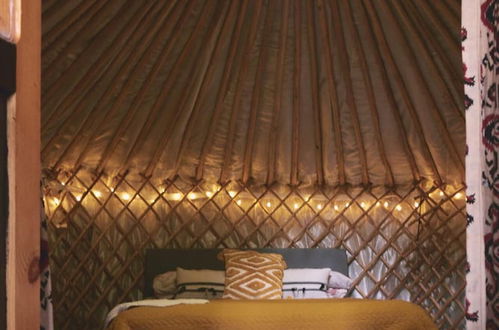 Photo 6 - Mushroom Yurt set in 4 Acres of Woodland and Lakes