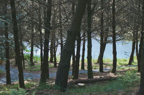 Foto 13 - Mushroom Yurt set in 4 Acres of Woodland and Lakes