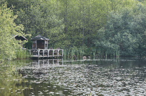 Foto 25 - Mushroom Yurt set in 4 Acres of Woodland and Lakes