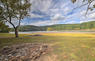 Photo 3 - Lakefront Table Rock Home With Fire Pit