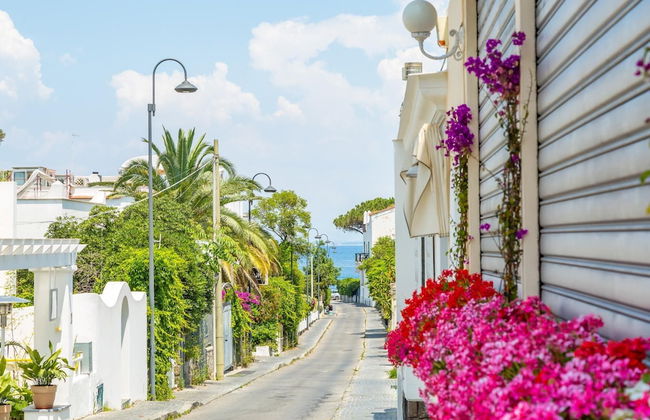 Blu Infinity Terrace on Ischia Center - Photo 9