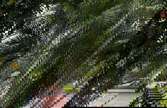 Paradise Bay - Photo 63