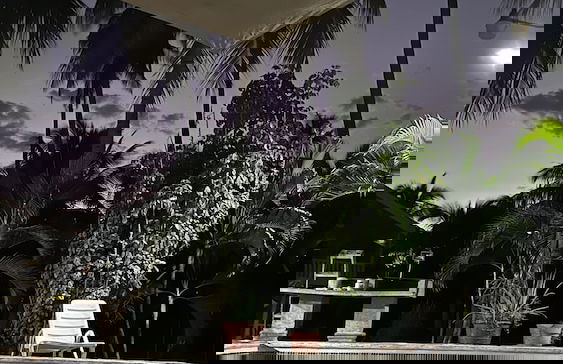 Paradise Bay - Photo 37