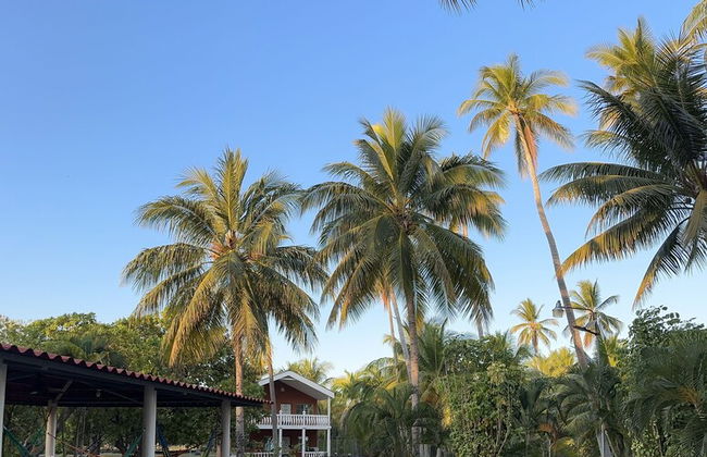 Paradise Bay - Photo 48