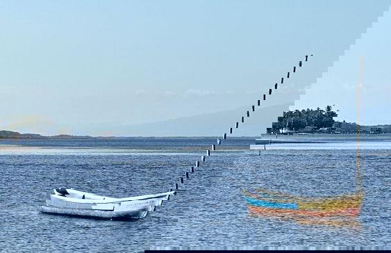 Paradise Bay - Photo 41