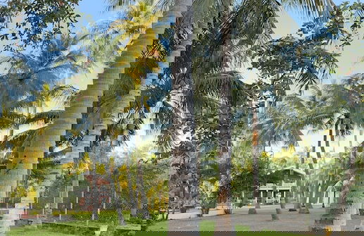 Paradise Bay - Photo 44