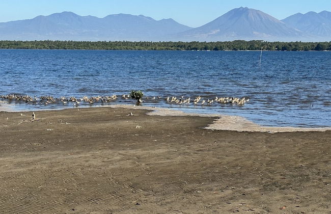 Paradise Bay - Photo 54