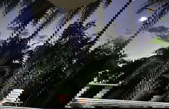 Paradise Bay - Photo 31