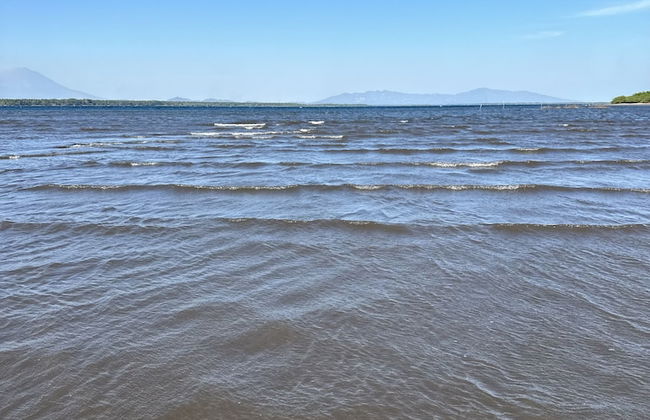 Paradise Bay - Photo 18