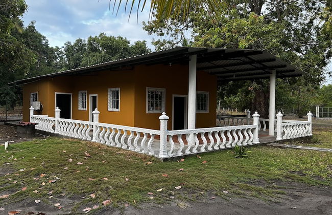 Paradise Bay - Photo 9