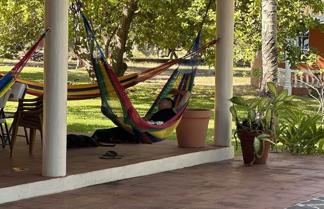 Paradise Bay - Photo 58