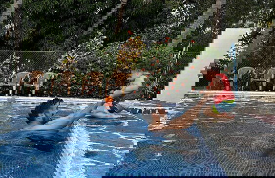 Paradise Bay - Photo 11