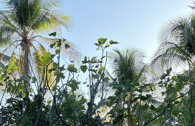 Paradise Bay - Photo 45