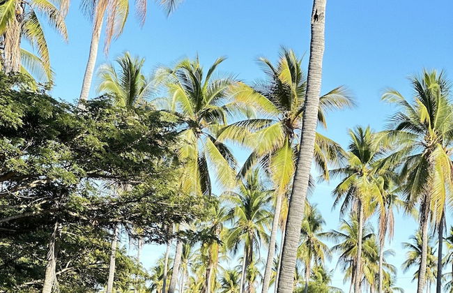 Paradise Bay - Photo 40