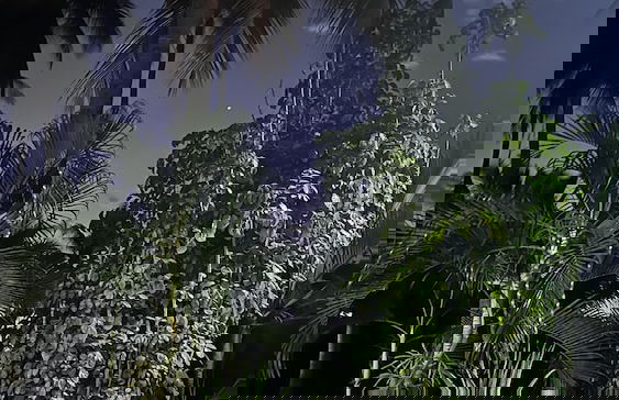 Paradise Bay - Photo 35