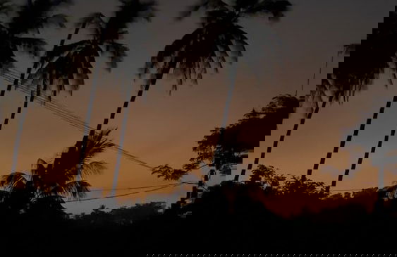 Paradise Bay - Photo 55