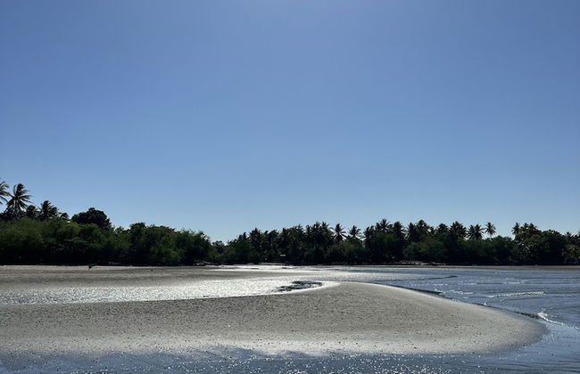 Paradise Bay - Photo 17