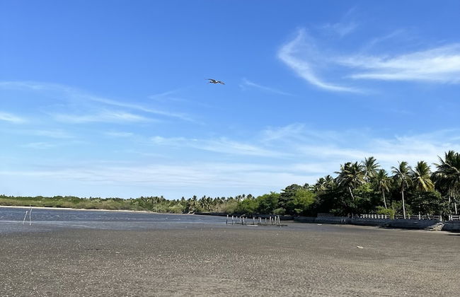 Paradise Bay - Photo 15