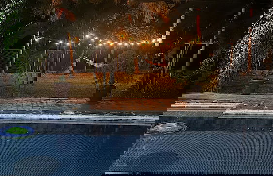 Paradise Bay - Photo 23