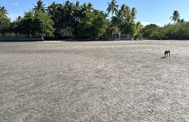 Paradise Bay - Photo 16