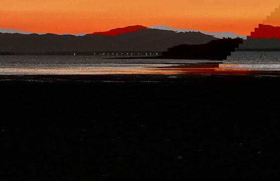 Paradise Bay - Photo 28