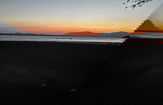 Paradise Bay - Photo 30