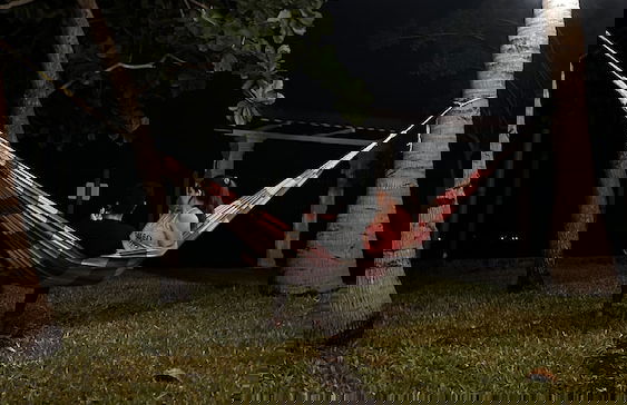 Paradise Bay - Photo 25