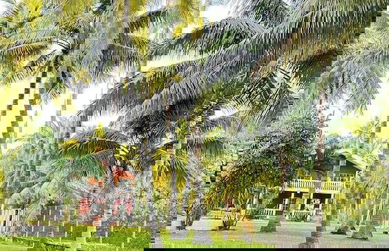 Paradise Bay - Photo 46